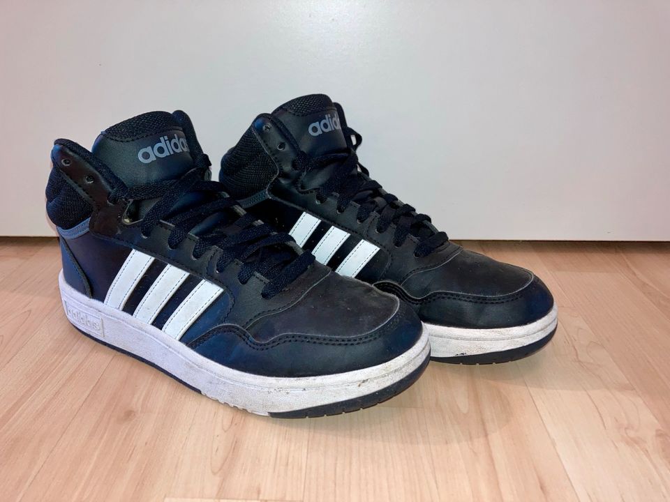 Hoops sneakers store