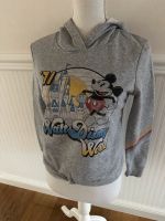 Pullover Walt Disney World Disneyland Gr.XS grau Rheinland-Pfalz - Wallmerod Vorschau