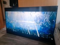 Android Smart TV chiq 58 Zoll HDR Sachsen-Anhalt - Staßfurt Vorschau