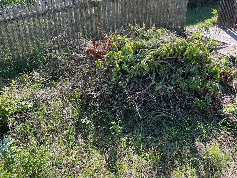 Gartenschnitt Baumschnitt Geäst Hexel in Stadtilm