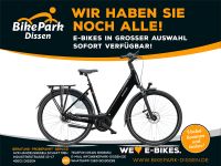 Batavus Elektro-Fahrrad Power Exclusive Bosch 625Wh 8-Gang Riemen Niedersachsen - Dissen am Teutoburger Wald Vorschau