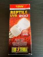 Reptile UVB 200 Lampe Nordrhein-Westfalen - Höxter Vorschau