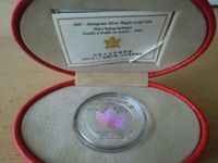 CANADA KANADA 5 $ 2001 MAPLE LEAF 1 Unze Silber Hologramm Münze Nordrhein-Westfalen - Geseke Vorschau