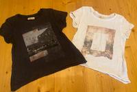 Hollister T-Shirt Gr.XS grau/ weiß Nordrhein-Westfalen - Schleiden Vorschau
