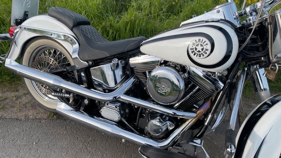 Harley Davidson Softtail Evo Mexican Style in Wunstorf