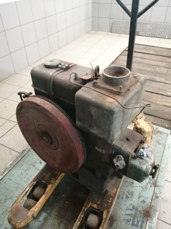 Motor von EKM in Fell