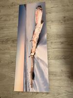 Deko-Bild Holz am Strand Bayern - Aschaffenburg Vorschau