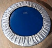 Trampolin Trimilin Minitrampolin 100cm Hannover - Misburg-Anderten Vorschau