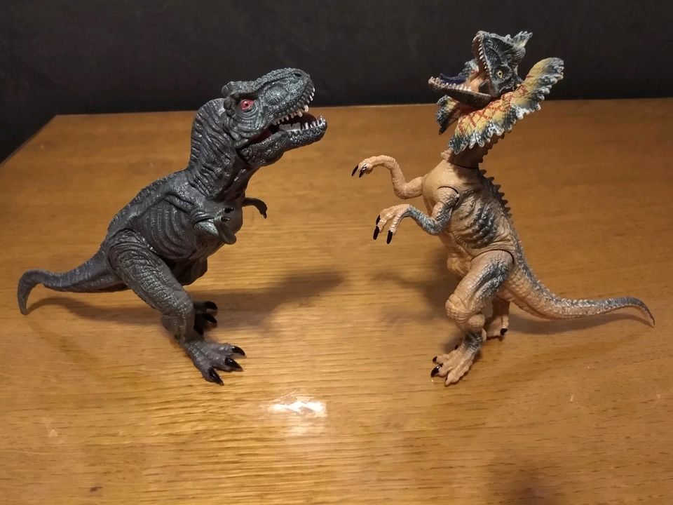 Dinosaurier Spielfiguren in Paderborn