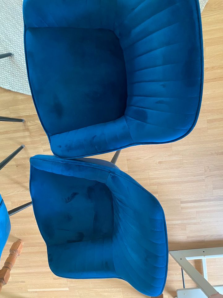 Stühle in Samtoptik Blau in Nürnberg (Mittelfr)