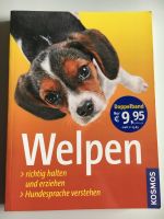 Buch „Welpen richtig halten und erziehen, Hundesprache verstehen“ Thüringen - Ilmtal-Weinstraße Vorschau