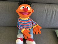 Ernie Handpuppen Bielefeld - Bielefeld (Innenstadt) Vorschau