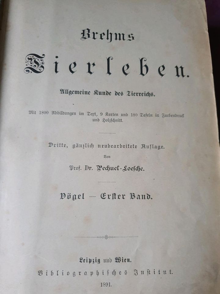 1 Band Brems Tierleben von 1891 in Werther bei Nordhausen
