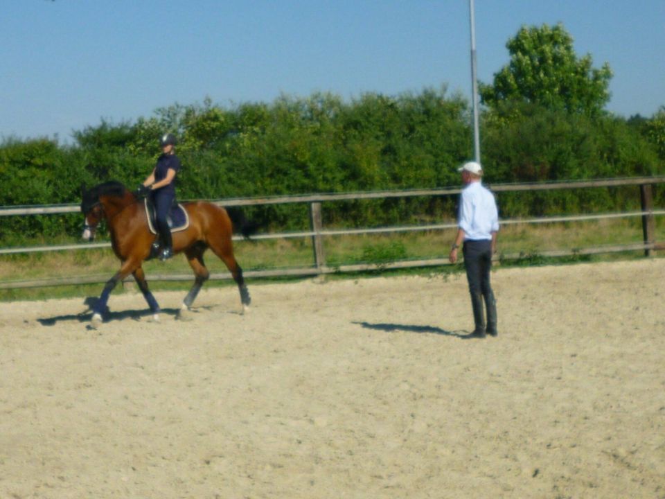 Mobiler Reitunterricht klassisch, Einzelunterricht, Dressur in Wülfrath