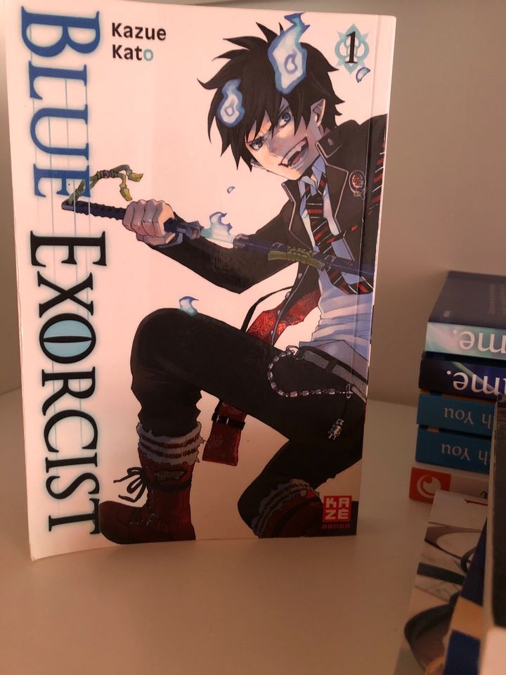 Blue Exorcist in Essen