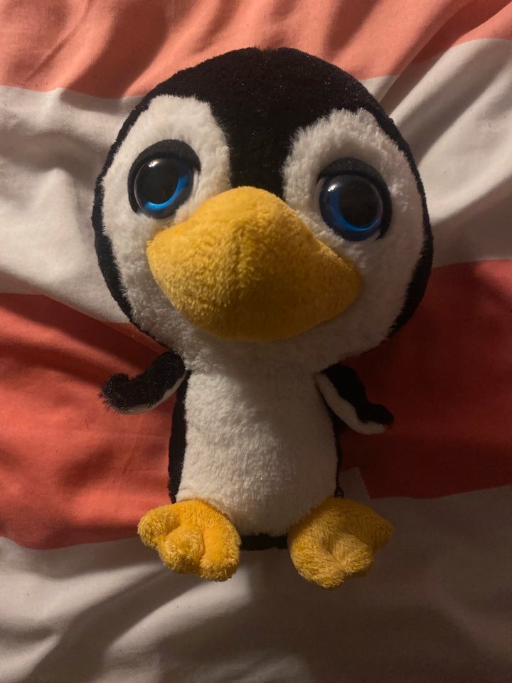 Pinguin / Papagei Stofftier von Penny in Kaiserslautern