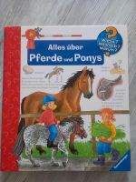 Tiptoi Buch Alles über Pferde und Ponys Bayern - Niedernberg Vorschau