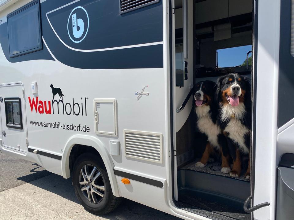 Waumobil Hundeurlaub Urlaub Hund Wohnmobil Camping Neufahrzeug in Alsdorf