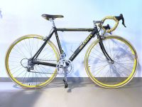 Rennrad Fausto Coppi 90er Jahre RH52 Campagnolo Mirage Dresden - Dresden-Plauen Vorschau