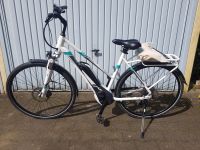 Pegasus Solero E8 Sport CX (Bosch) Nordrhein-Westfalen - Unna Vorschau