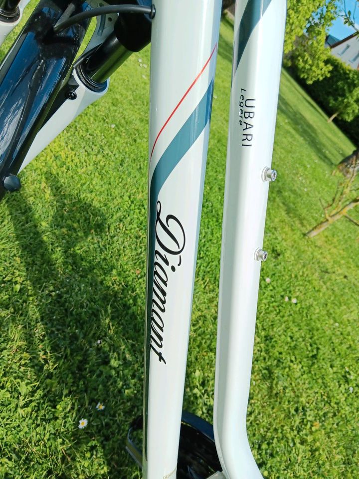 Diamant Damenfahrrad in Pritzwalk