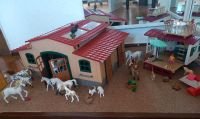 Schleich Pferdewelt Sachsen - Großolbersdorf Vorschau