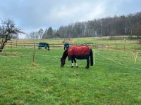 Zwei sommerkoppelplätze frei Hessen - Neckarsteinach Vorschau