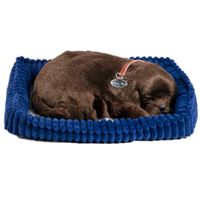 Perfect Petzzz Labrador Welpe, braun, Hundebaby, kleiner Hund Sachsen - Lichtenau Vorschau