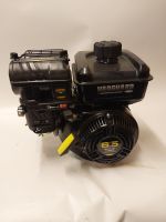 Briggs & Stratton Vanguard 6.5HP 203cc Commercial Power Motor 18m Bayern - Pfaffenhofen a.d. Ilm Vorschau