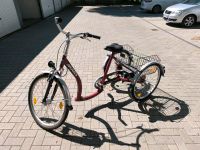 "Dreirad" Fahrrad  für Erwachsene Hamburg - Harburg Vorschau