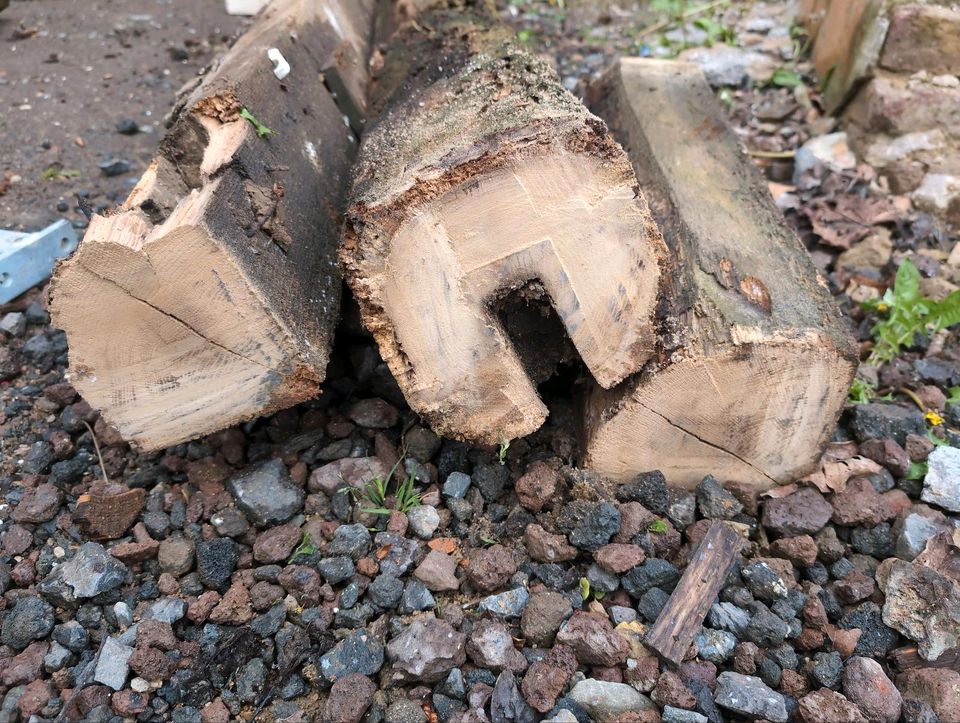 Eichenbalken abzugeben ca. 100 Balken in Bornheim