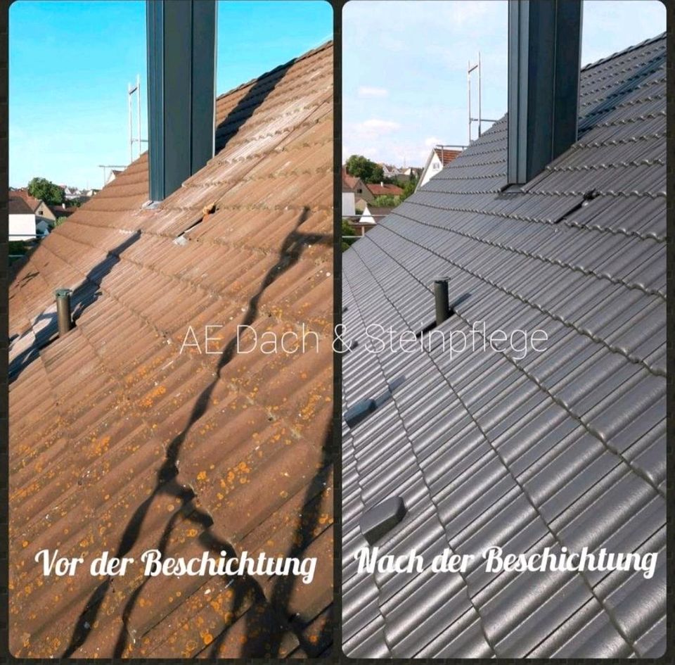 Dachreinigung Dachbeschichtung Steinreinigung in Heilbronn