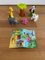 Lego Duplo 10904 • Süße Tierkinder Hessen - Schmitten Vorschau