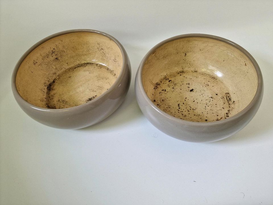 2 x Keramik Blumentopf flach Taupe 26 cm x 11 cm in Stuhr