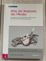 Atlas der Anatomie des Pferdes Nordrhein-Westfalen - Rietberg Vorschau