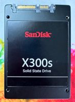 SSD Festplatte SanDisk X300s 256 GB wie NEU Hessen - Glauburg Vorschau