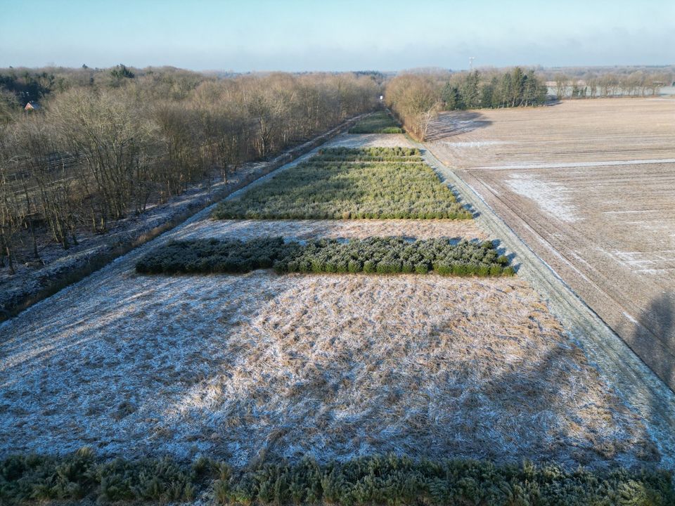 Verkauf von ca. 1 ha Baumschulfläche in Bad Zwischenahn/Helle in Bad Zwischenahn