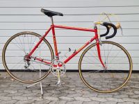 Rennrad PELIZZOLI / CIOCC Campagnolo Record Panto Teile RH 55cm Nürnberg (Mittelfr) - Gebersdorf Vorschau