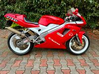 Cagiva Mito 125 8P-F125 Seven Speed 7 Gang Feldmoching-Hasenbergl - Feldmoching Vorschau