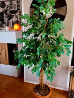 Kunstbaum Ficus Benjamini 2m Bayern - Baar-Ebenhausen Vorschau