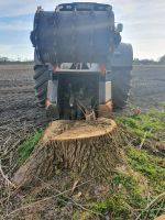 Stubben fräsen, Wurzelstock fräsen, Wurzelfräse im Schlepperanbau Niedersachsen - Kutenholz Vorschau