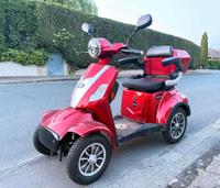 Rolektro E-Quad 15 V 3.  275 Km. Lithium Akku. Super Zustand Niedersachsen - Salzgitter Vorschau