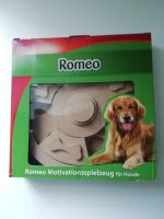 Hunde Motivations Spielzeug / Hunde Beschäftigung Hessen - Freiensteinau Vorschau