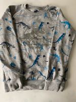 Jungen Kinder Bluse Langarm Longsleeve Dino Dinosaurier Gr. 134 Baden-Württemberg - Albstadt Vorschau