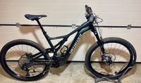 Specialized  Levo Comp 29 Nb Oak Green Metallic XL Baden-Württemberg - Baltmannsweiler Vorschau