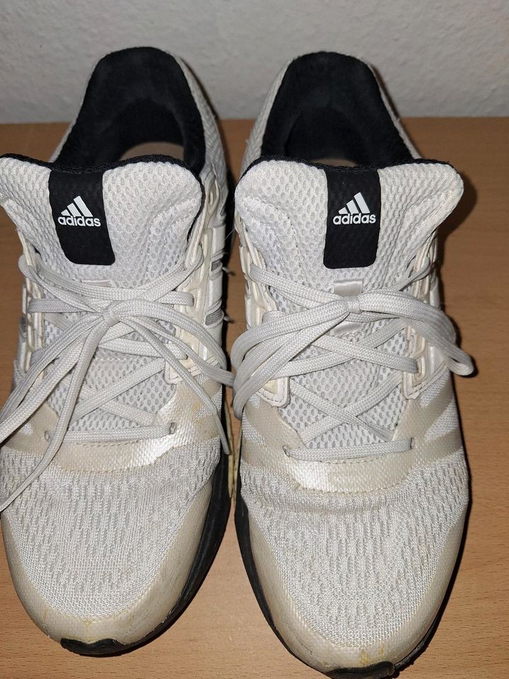 Adidas Sneaker, gebraucht in Flensburg