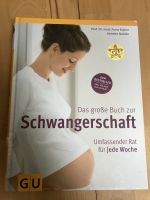 Das große Buch zur Schwangerschaft / Schwangerschaftsratgeber Brandenburg - Linthe Vorschau