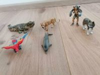 Schleich Tiere Papagei Delfin Krokodil Leopard Wolf Gregis Nordrhein-Westfalen - Schmallenberg Vorschau