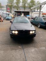 Bmw e39 523i Schlachtfest Nordrhein-Westfalen - Grevenbroich Vorschau