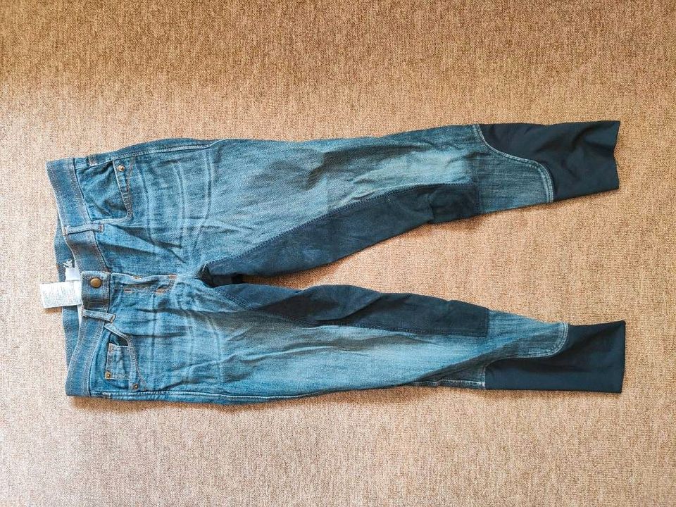 Reithose Leder Vollbesatz Jeanslook Größe 38 Felix Bühler in Sinzing